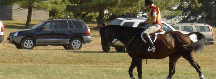 Training for horses, Vermont