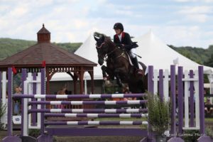 Chauncy showjump Millbrook